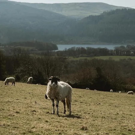 The Huts At Highside Farm Camping Keswick (Cumbria)