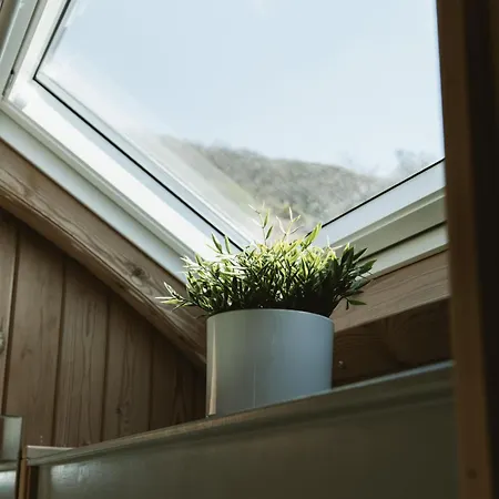 Camping The Huts At Highside Farm *